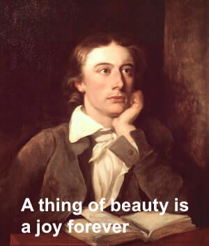 The meaning and origin of the phrase 'A thing of beauty is a joy forever'.
