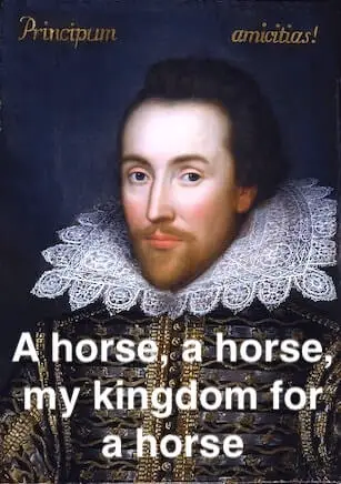 A horse