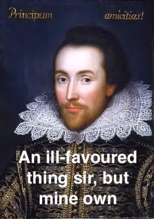 An ill-favoured thing sir