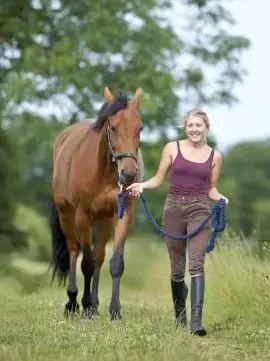 You can lead a horse to water