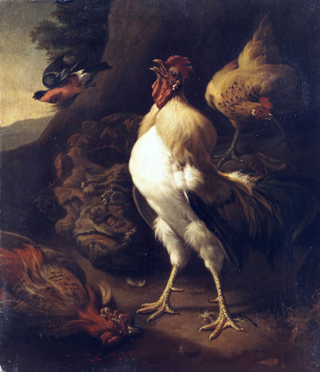 A cock and bull story