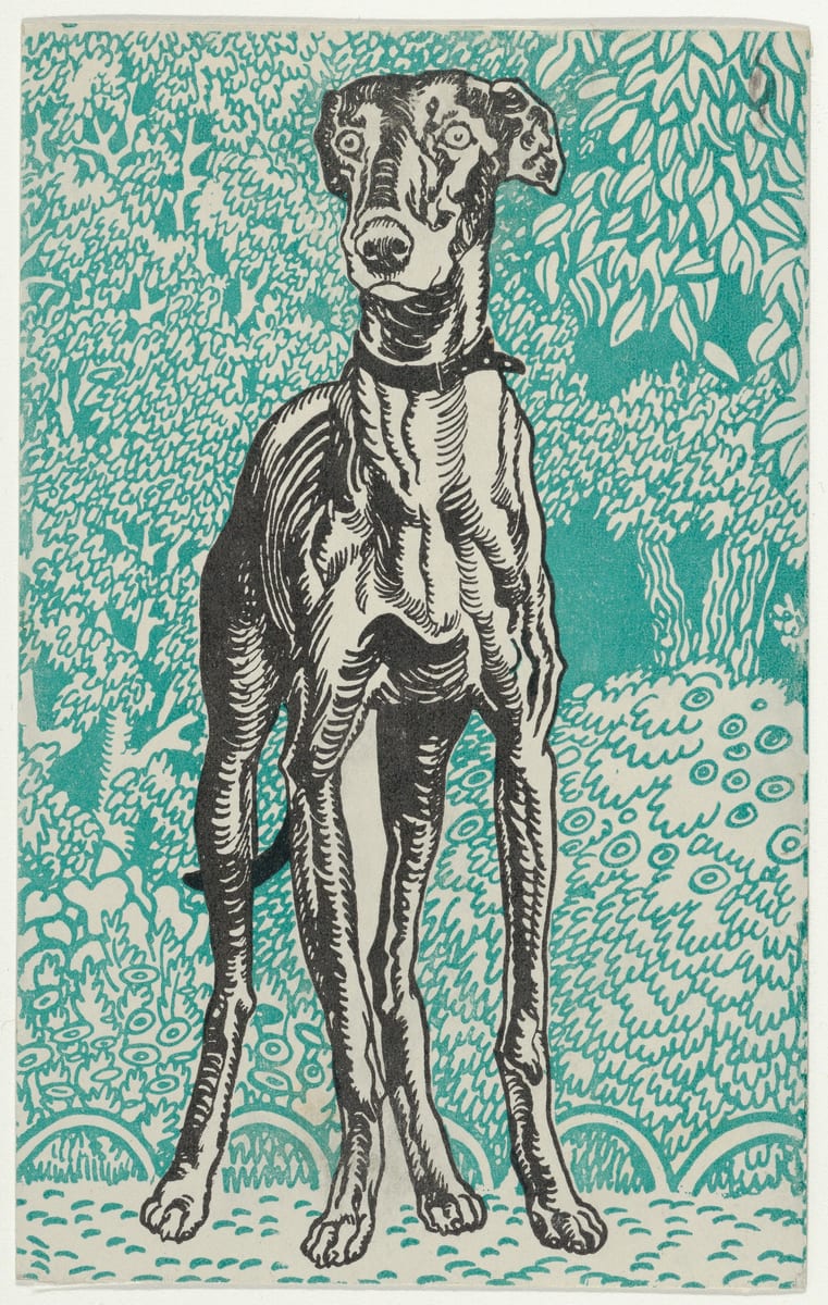 Go to the dogs