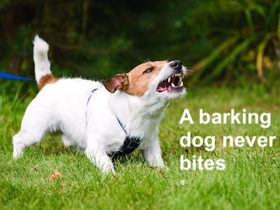 The meaning and origin of the phrase 'A barking dog never bites'.