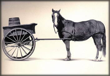 cart-before-the-horse.jpg?w=640