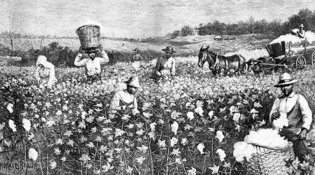 The phrase 'Cotton picking' - meaning and origin.