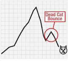Dead-cat bounce
