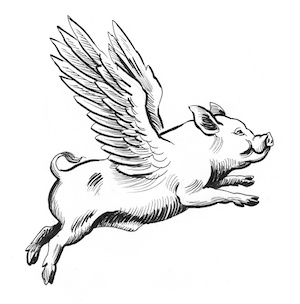 The phrase 'Pigs might fly' - meaning and origin.