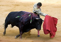 saying 'A red rag to a bull' meaning and origin.